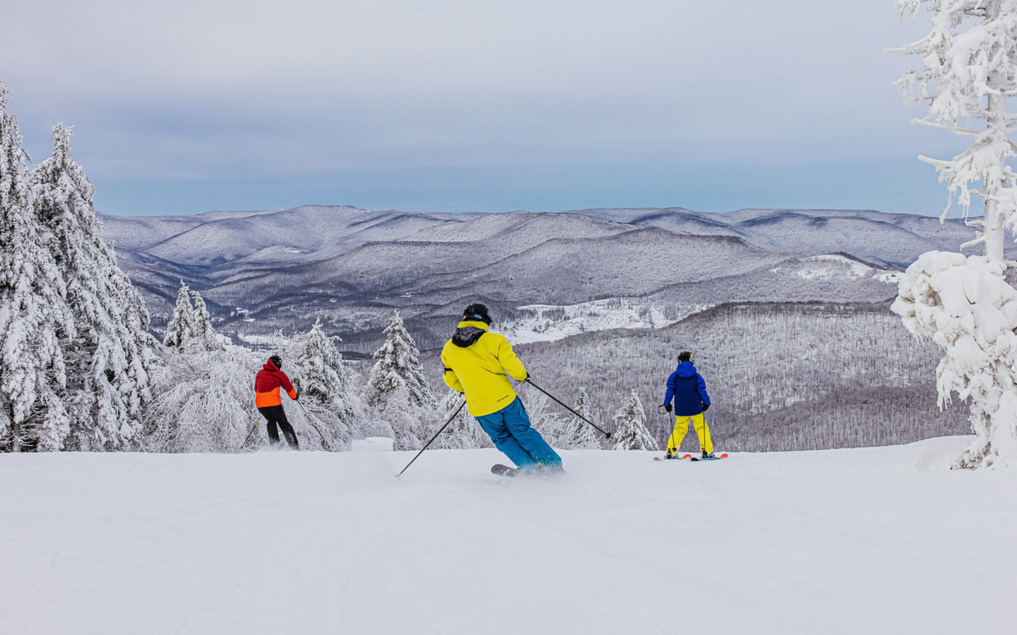 Mountain Info Snowshoe Blog