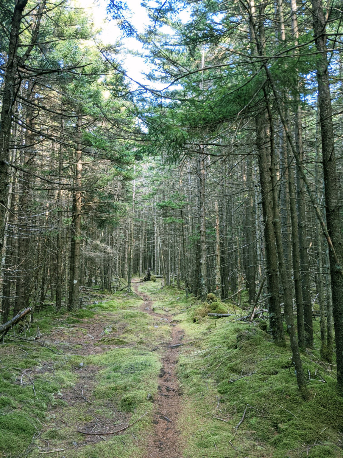 The Top Hikes at Snowshoe Mountain in West Virginia Snowshoe Blog