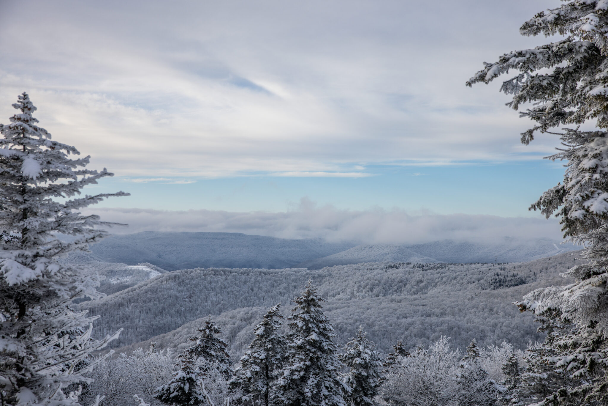 Plan Your Trip Snowshoe Blog